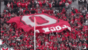 ohio state buckeyes #gobucks GIF by Ohio State Athletics