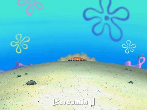 season 7 episode 22 GIF by SpongeBob SquarePants