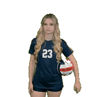 Womens Volleyball Sticker by Clarke University