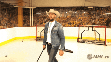 celebrate ice hockey GIF by NHL