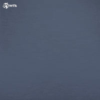 Serious Ana Bogdan GIF by WTA