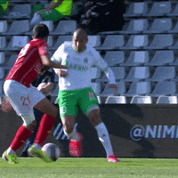 Football Sport GIF by AS Saint-Étienne