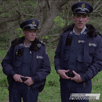 No I In Team GIF by Wellington Paranormal