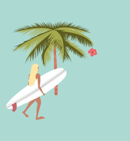 lespetitssurfeurs giphygifmaker surfergirl surfgirl lespetitssurfeurs GIF