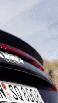 audichile  GIF