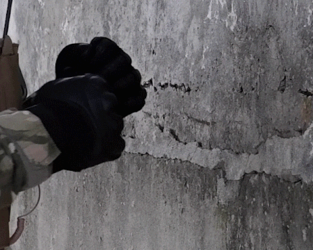 AnjaZZZZ giphyupload GIF