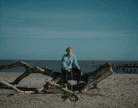 Beach Sycamore GIF by Ed Sheeran