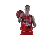 Basket_fi sports basketball hoops vikings Sticker