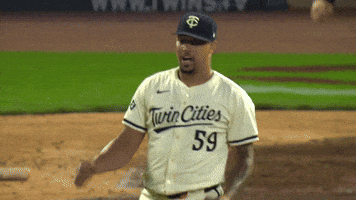 Minnesota Twins Win GIF by MLB