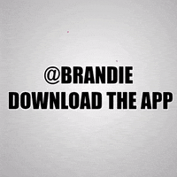 Verse Brandie GIF by Socialverse app