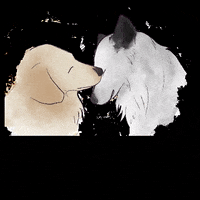 Puppy Love Oh My Dog GIF