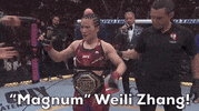 Mixed Martial Arts Sport GIF by UFC