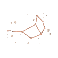 Stars Pets Sticker by Pleia Life