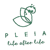 PleiaLife stars pets estrellas petloss Sticker
