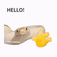 Snake Hello GIF by MSR Media Network