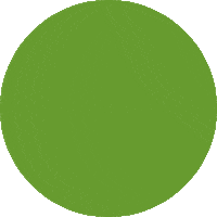 fotokasten new green post neu Sticker