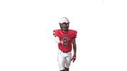 Fingerwave Sticker by Richmond Spiders
