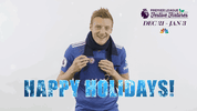 premier league GIF by NBC Sports Soccer