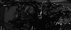 spider man film GIF