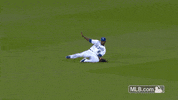 kc GIF by MLB