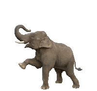 trunk club pool Sticker