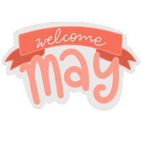 May Star Wars Sticker by Demic
