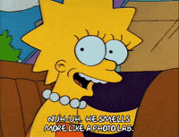 Season 2 GIF by The Simpsons