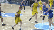 Assist Liga Endesa GIF by ACB