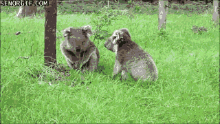 fight argument GIF
