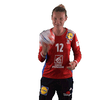 Ffhandball Sticker by Fédération Française de Handball