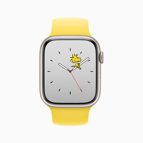 ehdgus1211 giphyupload GIF