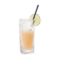 Celebrate Nova Scotia Sticker by NovaScotian Crystal