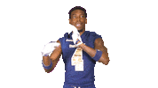 dance football Sticker by FIU