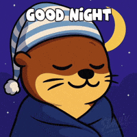 Good Night GIF by Built Daily
