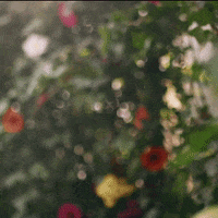 Party Cheers GIF by Absolut Vodka