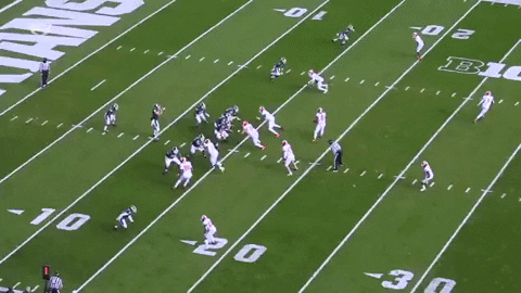 Hep24 giphygifmaker GIF