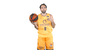 Liga Endesa Basketball Sticker by ACB