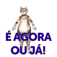 Study Studying Sticker by Senac São Paulo