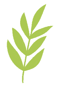 Leaf Sticker by SumaiaThomas