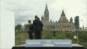 GIF by Univision Noticias
