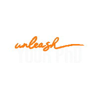 Unleash Phd Student Sticker