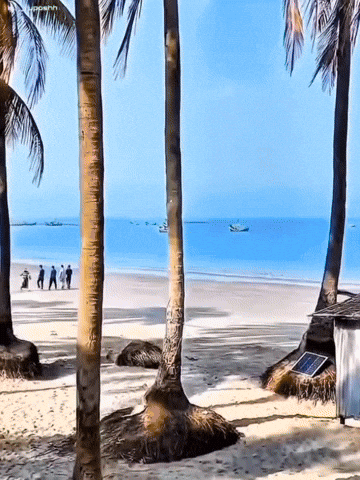 Saint Martin Island GIF