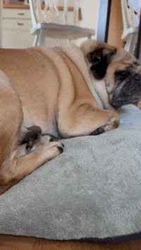 Friends Bff GIF