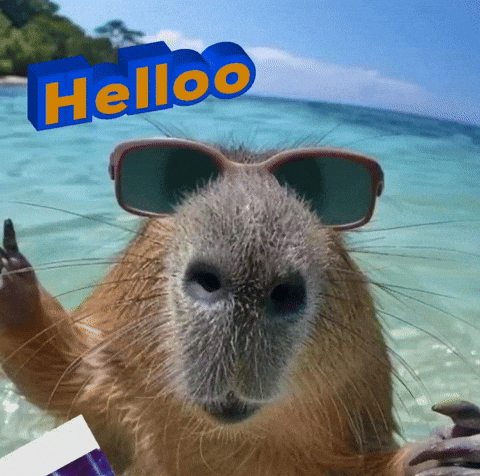 rsamandar giphycreatortest GIF