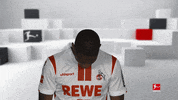 Line Up Smile GIF by Bundesliga