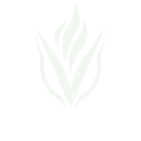 vigorlabs logo vigor labs vigor labs logo Sticker