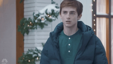 Timothee Chalamet What GIF by Saturday Night Live