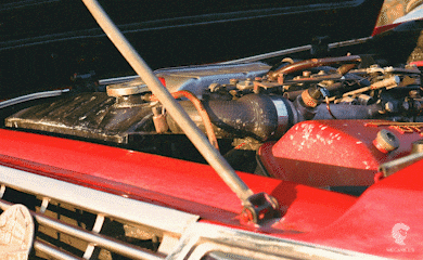 asyaakdogan giphyupload GIF