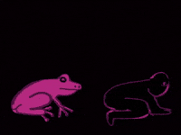 Frog Legs GIF by Barbara Pozzi