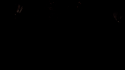 Steve Martin GIF by Coolidge Corner Theatre